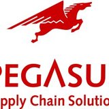 Pegasus SCS - Export, Import, Logistica